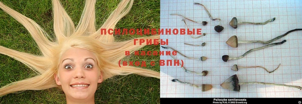 спиды Алексин