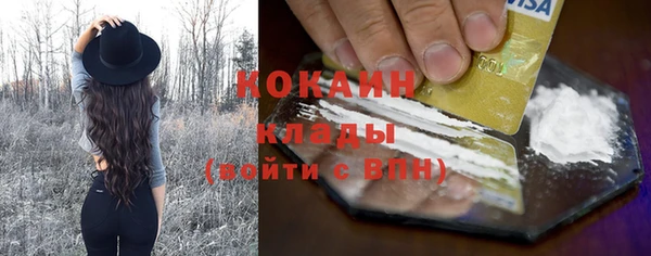 прущие грибы Елизово