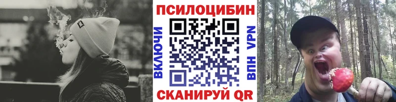 Псилоцибиновые грибы Cubensis  Апрелевка 