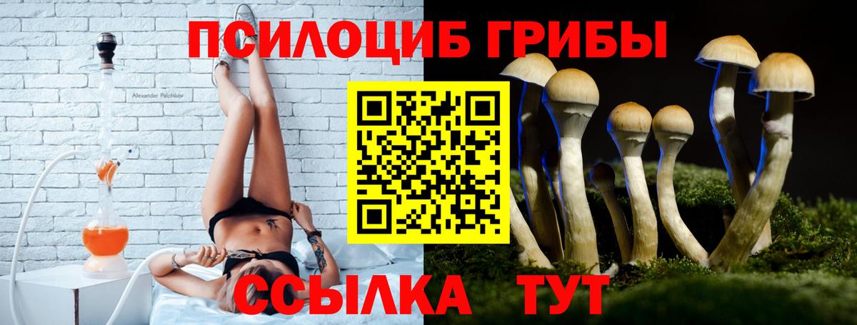 где продают наркотики  Галлюциногенные грибы мухоморы  Галлюциногенные грибы мухоморы  Вход с VPN  Апрелевка 
